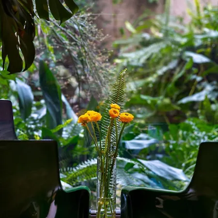 Giardino Segreto - History And Design * Bolonya